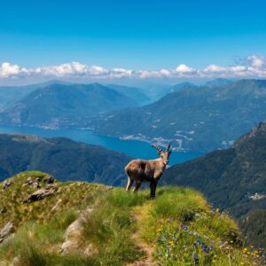 27 SETTEMBRE - MONTE LEGNONE